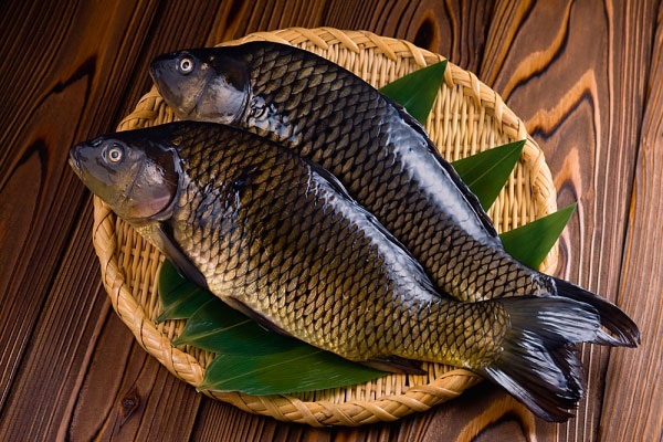 Cá diếc nấu hạt sen là món ăn bổ thận, tráng dương, tăng cường sinh lực