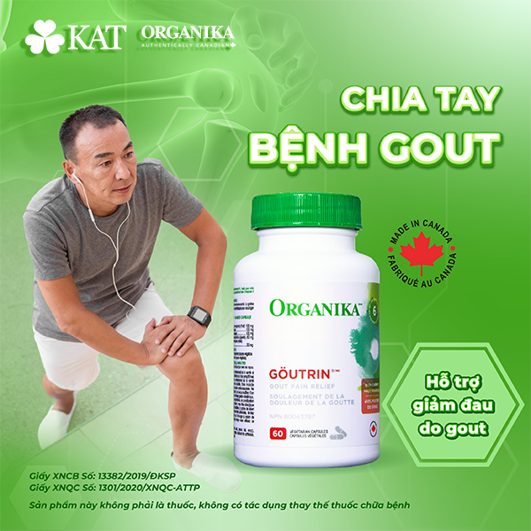 Thực phẩm bảo vệ sức khỏe Organika Goutrin hỗ trợ giảm đau do gout, ngăn ngừa bệnh gout tái phát