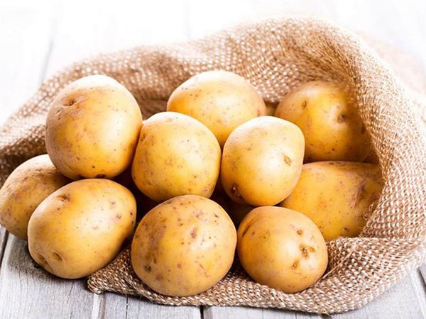 Bạn không nên sử dụng khoai tây đã bị mọc mầm để chế biến thức ăn