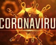 Hiểu đúng về virus corona