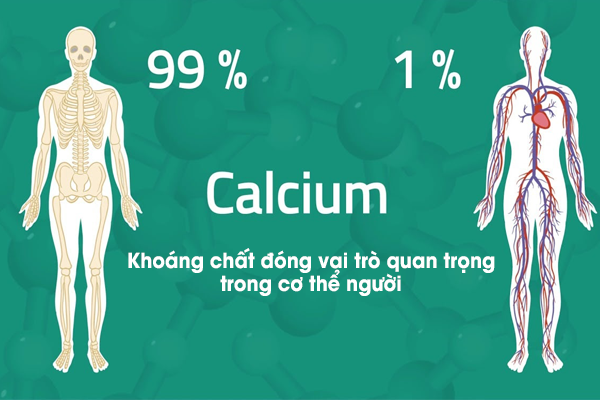 Calcium (hay còn gọi là canxi) là một khoáng chất đóng vai trò quan trọng trong cơ thể người.