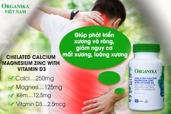 Chelated Calcium Magnesium Zinc With Vitamin D3 - Giúp phát triển xương và răng, giảm nguy cơ mất xương, loãng xương