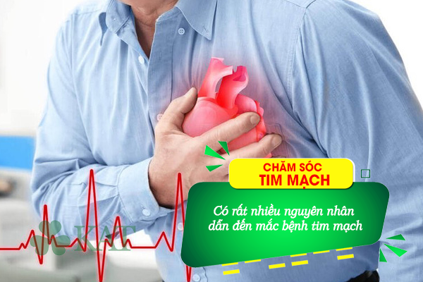Có rất nhiều nguyên nhân gây ra bệnh tim mạch