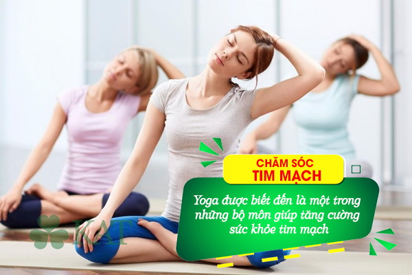Yoga là một trong những bài tập thể dục cực tốt cho sức khỏe tim mạch