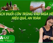 Cách đuổi côn trùng vào mùa hè an toàn, hiệu quả