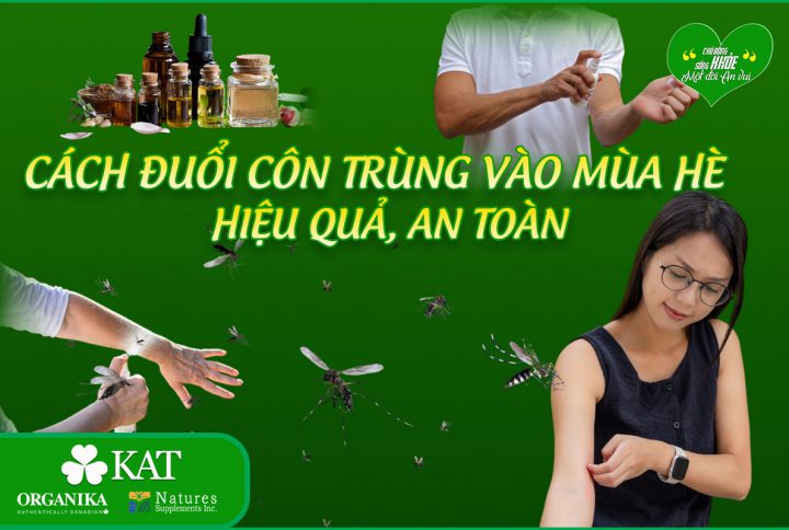 Cách đuổi côn trùng mùa hè hiệu quả, an toàn