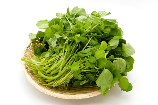 Cải xoong được xem là loại rau tốt cho sức khỏe vì mang nhiều giá trị dinh dưỡng