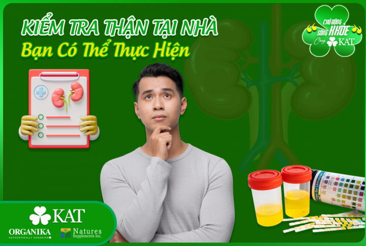 Kiểm tra thận tại nhà