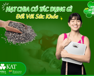 Hạt chia có tác dụng gì đối với sức khỏe con người