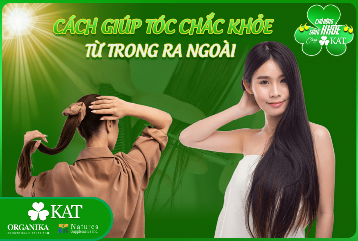 Cách giúp tóc chắc khỏe từ trong ra ngoài