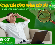 Tác hại của căng thẳng kéo dài đối với sức khỏe và cuộc sống Tác hại của căng thẳng kéo dài đối với sức khỏe và cuộc sống