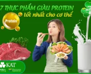 7 loại thực phẩm giàu protein tốt nhất cho cơ thể 7 loại thực phẩm giàu protein tốt nhất cho cơ thể