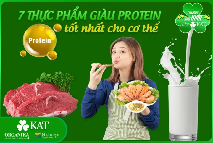 7 loại thực phẩm giàu protein tốt nhất cho cơ thể
