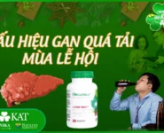 Dấu hiệu gan quá tải mùa lễ hội Dấu hiệu gan quá tải mùa lễ hội