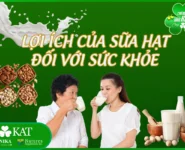 Lợi ích của sữa hạt đối với sức khỏe Lợi ích của sữa hạt đối với sức khỏe