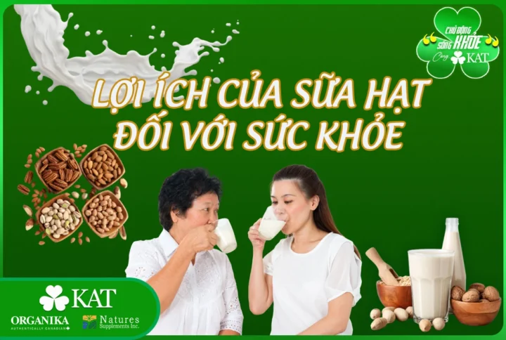 Lợi ích của sữa hạt đối với sức khỏe