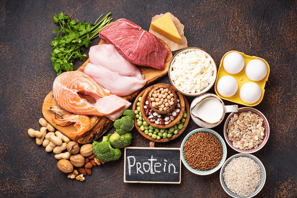 Protein là dưỡng chất vô cùng quan trọng đối với cơ thể