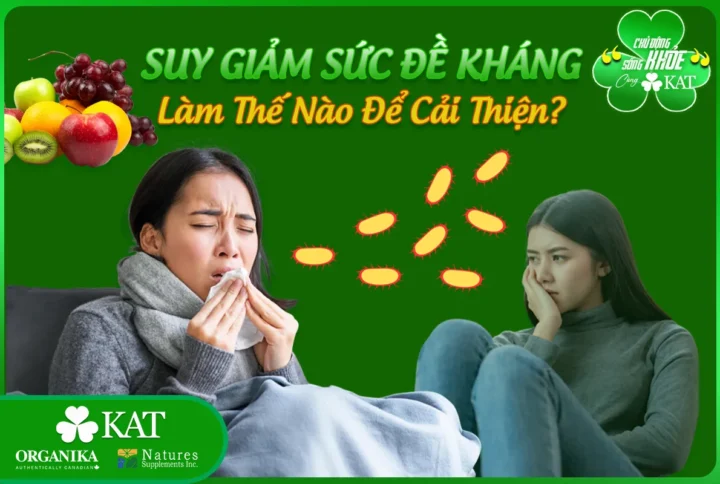 Suy giảm sức đề kháng là do đâu? Làm thế nào để cải thiện