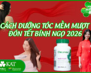 Cách dưỡng tóc mềm mượt đón Tết Bính Ngọ 2026