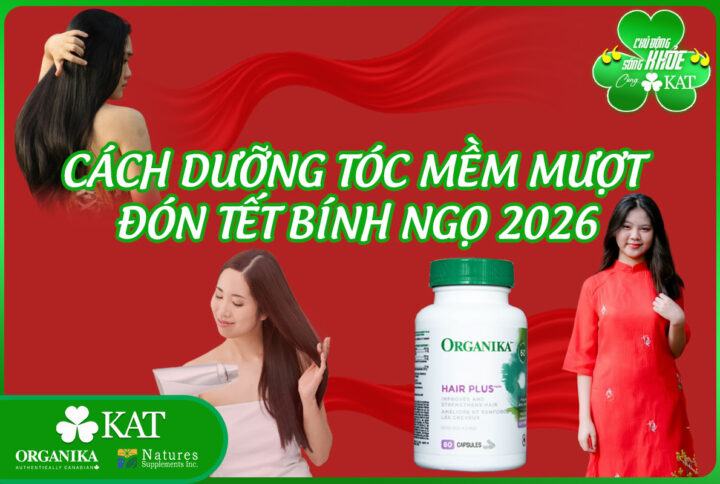Cách dưỡng tóc mềm mượt đón Tết Bính Ngọ 2026