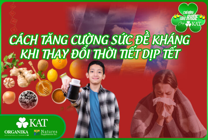 Cách tăng cường sức đề kháng khi thay đổi thời tiết dịp Tết