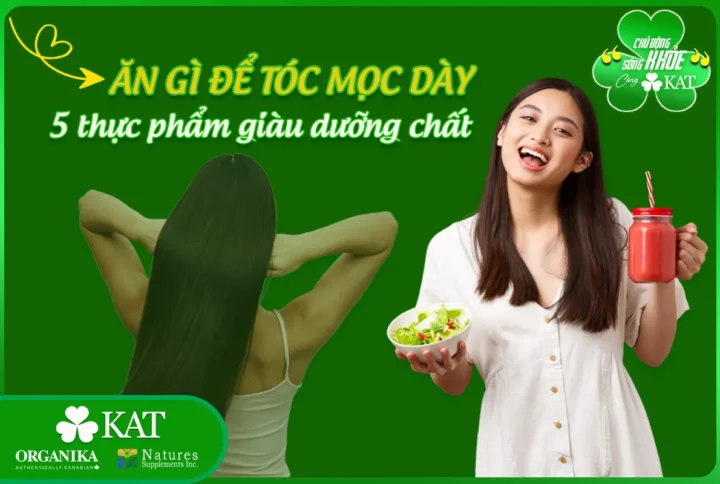 Ăn gì để tóc mọc dày? 5 thực phẩm giàu dưỡng chất giúp tóc mọc nhanh