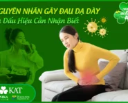 Nguyên nhân đau dạ dày và dấu hiệu cần nhận biết Nguyên nhân đau dạ dày và dấu hiệu cần nhận biết