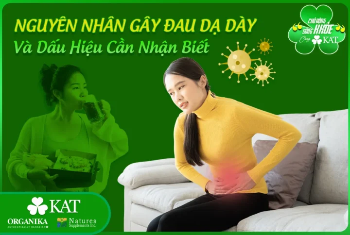 Nguyên nhân đau dạ dày và dấu hiệu cần nhận biết