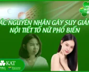 Các nguyên nhân gây suy giảm nội tiết tố nữ phổ biến
