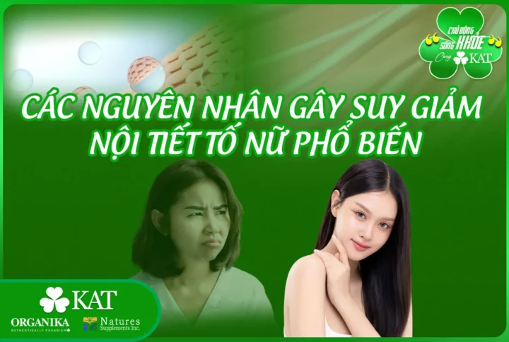 Các nguyên nhân gây suy giảm nội tiết tố nữ phổ biến