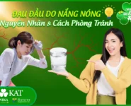 Đau đầu do nắng nóng nguyên nhân và cách phòng tránh